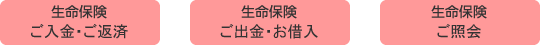 生命保険ご入金・ご返済 生命保険ご出金・お借入 生命保険ご照会