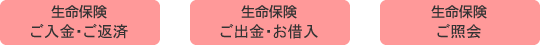 生命保険ご入金・ご返済　生命保険ご出金・お借入　生命保険ご照会