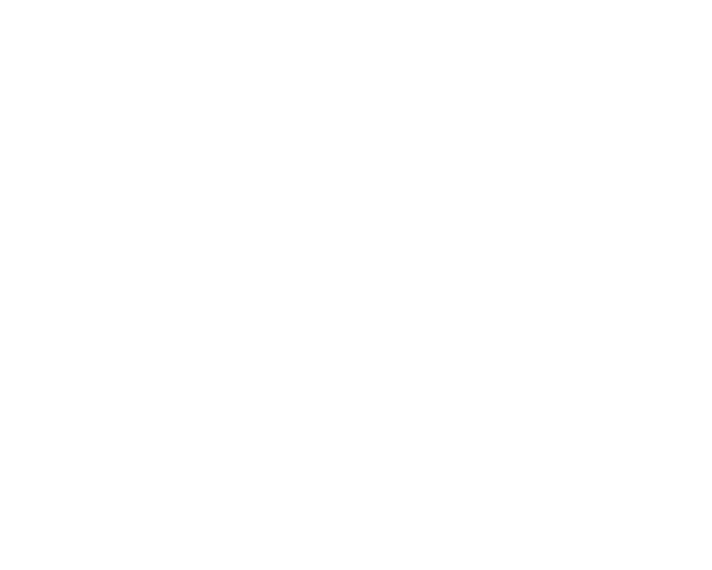 ȐlƃJ_ X~ZCgVitality Actionh