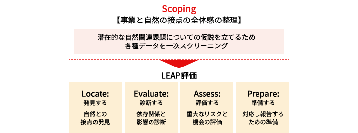 LEAP評価