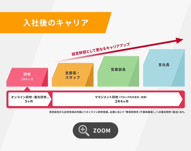 入社後のキャリア