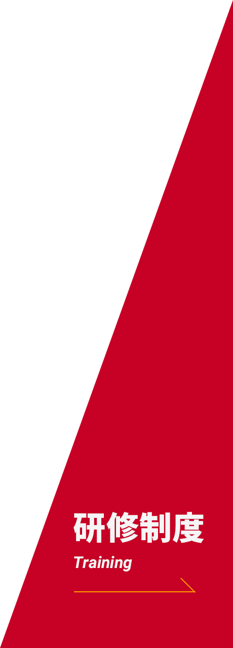研修制度 Training