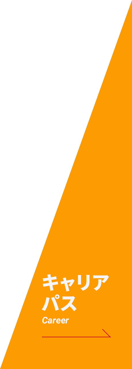 キャリアパス Career