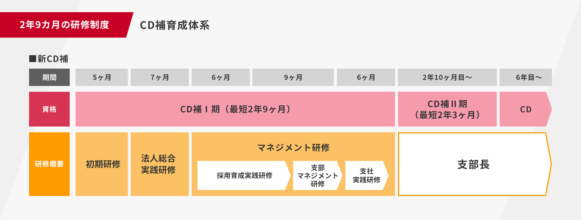 入社後のキャリア