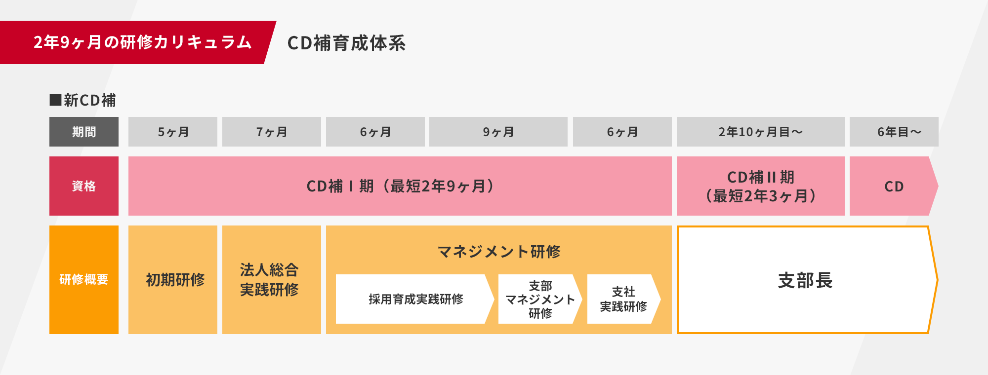 2年9ヶ月の研修カリキュラム