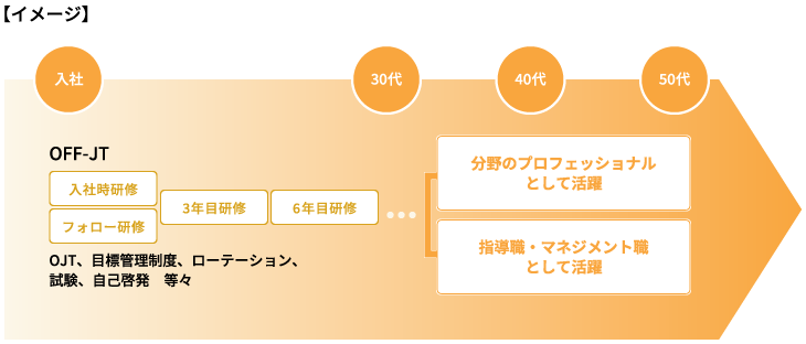 ビジネスキャリア職員の役割と育成のイメージ図