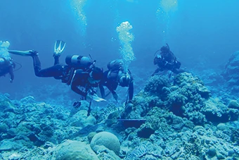 海洋保全活動のイメージ（WWF支援の取組みを示す）