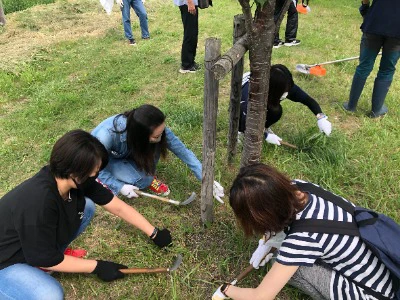 植樹や海岸清掃など環境保全活動の様子のイメージ