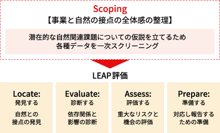 LEAPアプローチによる評価フロー図