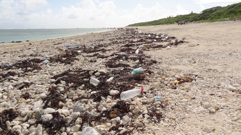 WWFジャパン提供の海岸清掃の様子