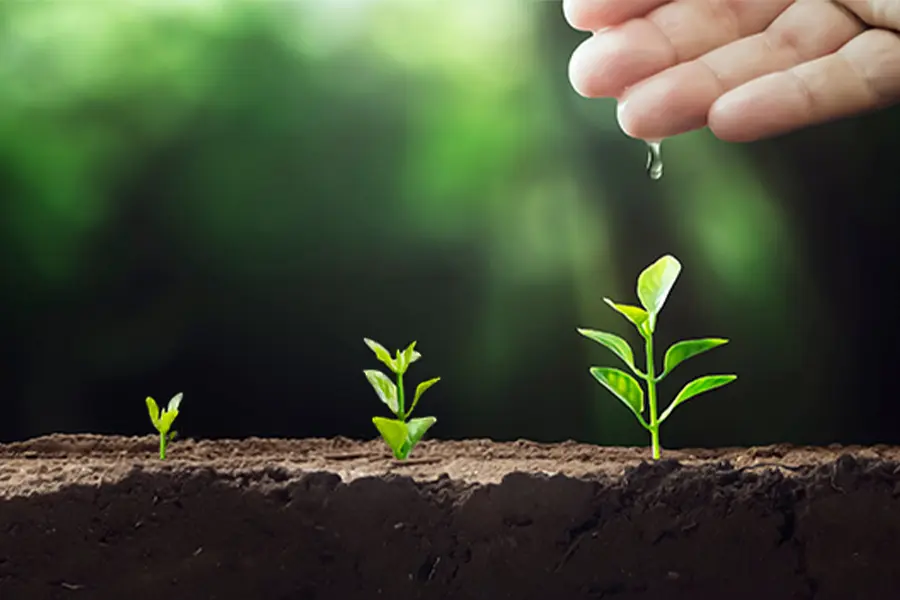 サステナビリティを考慮した資産運用（責任投資）の取組み