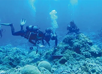 サンゴ礁保全プロジェクトの活動の様子