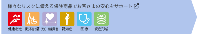 様々なリスクに備える保険商品でお客さまの安心をサポート　健康増進　就労不能・介護　死亡・高度障害　認知症　医療　資産形成