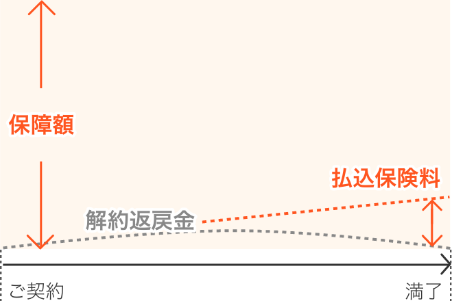 １分でわかる保険の基礎知識