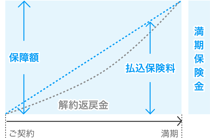 保険 養老 養老保険とはどんな保険なのか、すべてわかる簡単丸わかり解説