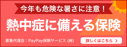 PayPay保険サービス株式会社