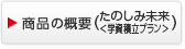 商品の概要
