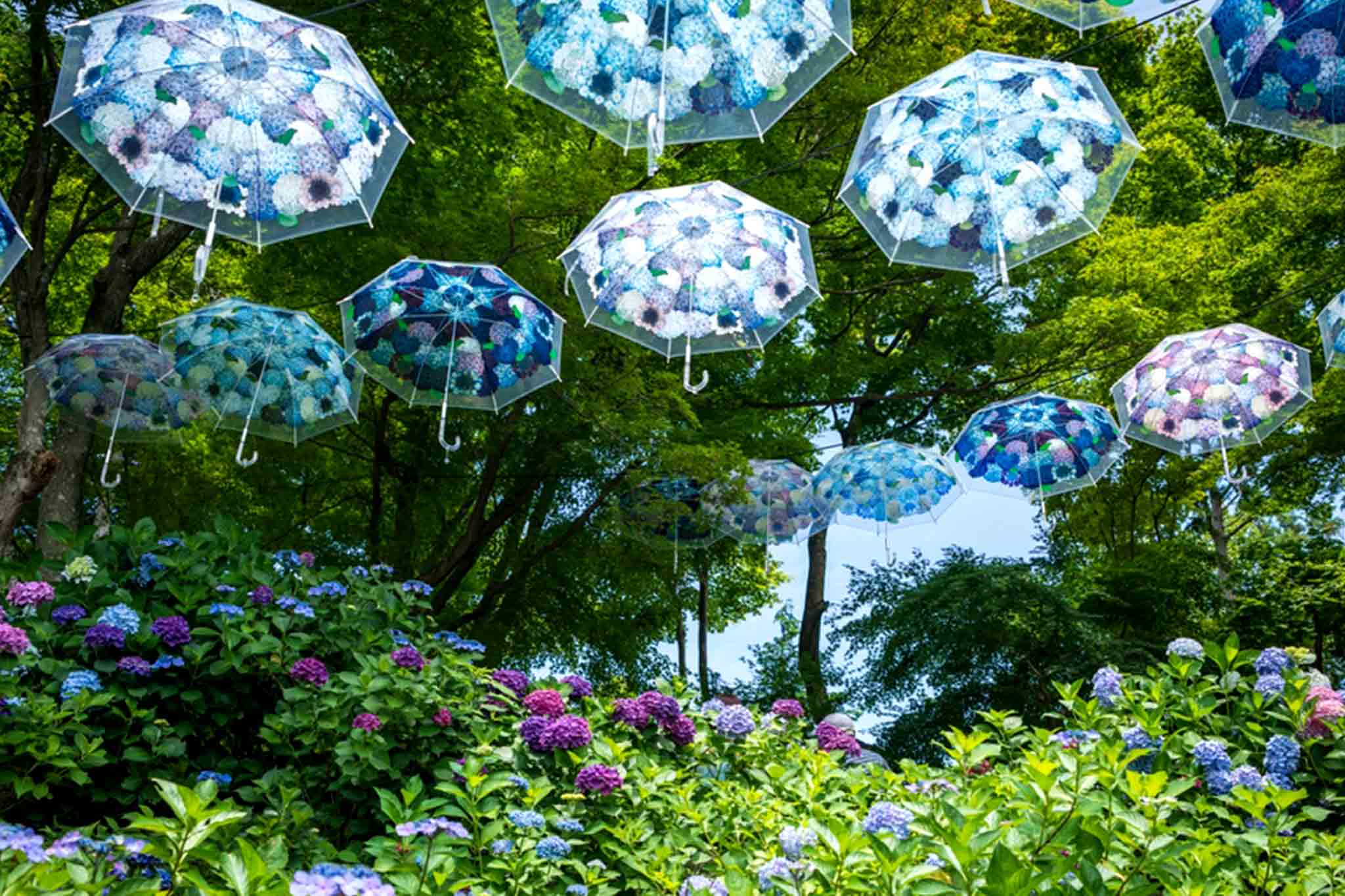 6月旅行【予算別まとめ】カップル・家族・一人旅におすすめの国内プラン