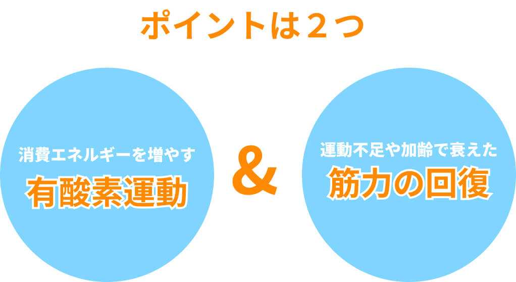 ポイントは2つ「消費エネルギーを増やす有酸素運動」「運動不足や加齢で衰えた筋力の回復」