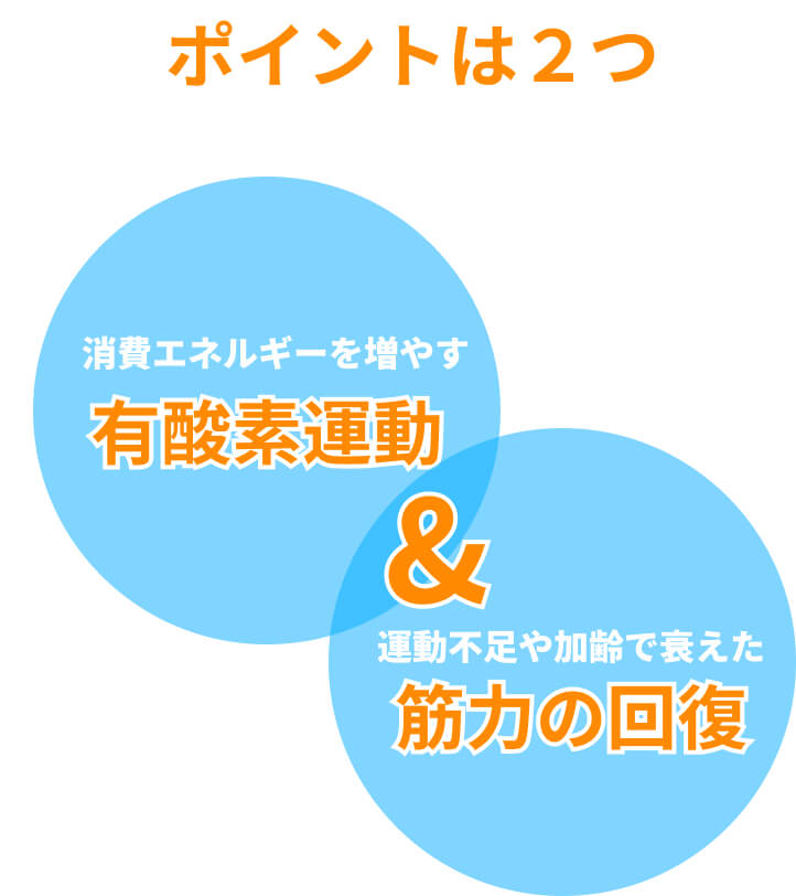 ポイントは2つ「消費エネルギーを増やす有酸素運動」「運動不足や加齢で衰えた筋力の回復」