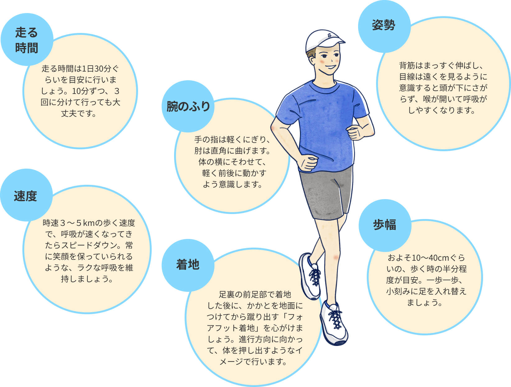 走る時間:走る時間は1日30分ぐらいを目安に行いましょう。 腕のふり:手の指は軽くにぎり、 肘は直角に曲げます。体の横にそわせて、 軽く前後に動かすよう意識します。 姿勢:背筋はまっすぐ伸ばし、目線は遠くを見るように意識すると頭が下にさがらず、喉が開いて呼吸がしやすくなります。 速度:時速3~5kmの歩く速度で、呼吸が速くなってきたらスピードダウン。常に笑顔を保っていられるような、ラクな呼吸を維持しましょう。 着地:足裏の前足部で着地 した後に、かかとを地面につけてから蹴り出す「フォアフット着地」を心がけましょう。進行方向に向かって、体を押し出すようなイメージで行います。 歩幅:およそ10~40cmぐらいの、歩く時の半分程度が目安。一歩一歩、小刻みに足を入れ替えましょう。