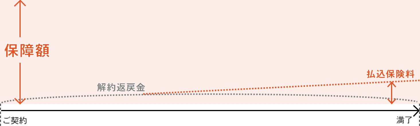 定期保険の仕組み図（一定期間のみ保障、満期保険金はない）