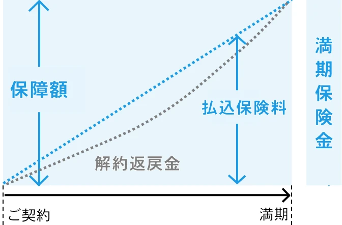養老保険の仕組み図（一定期間の保障と満期保険金がある）