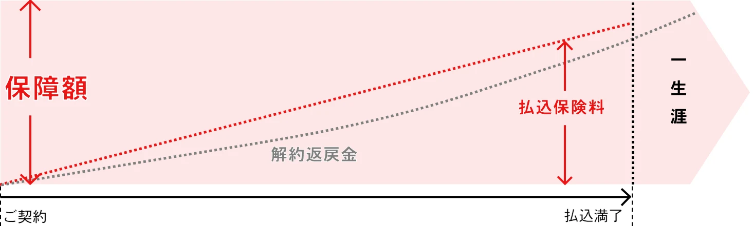 終身保険の仕組み図（一生涯の保障と解約返戻金の特徴）