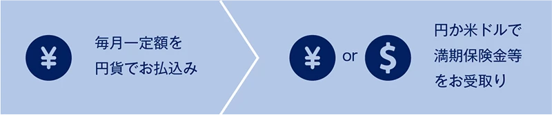 毎月一定額を円貨でお払込み 円か米ドルで満期保険等をお受取り