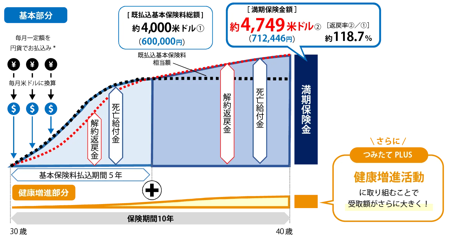 ドルつみ Vitalityのしくみ図。30歳男性、予定利率3.90%、基本円貨払込額（基本保険料）10,000円、1米ドル＝150.00円で10年間変動しないものと仮定して試算すると、既払込基本保険料総額600,000円に対し、満期保険金額は712,446円。さらに、健康増進活動に取り組むことで受取額が大きくなる。