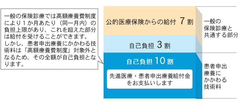 保険診療部分と自己負担部分の図（PC） 