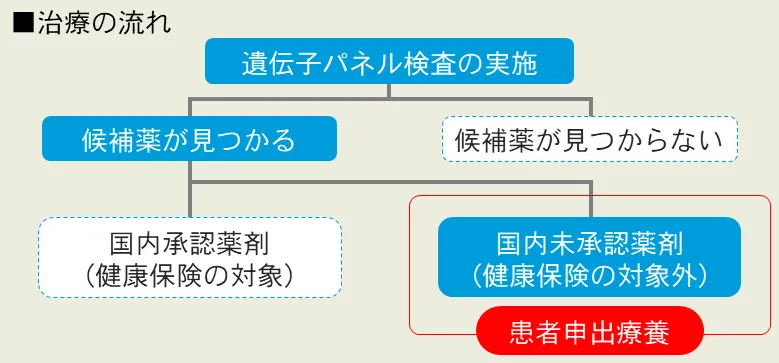 遺伝子パネル検査の流れ 