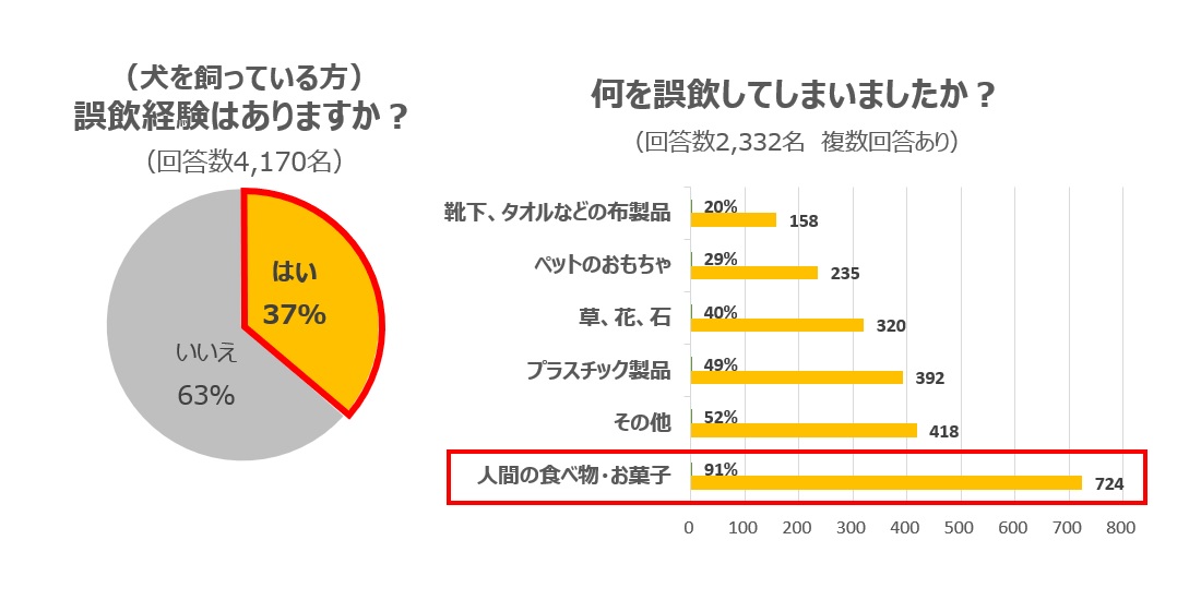 犬の誤飲経験と誤飲したものの調査結果